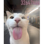 aayyeeeeee