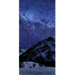 Frost Warriors [F.C]