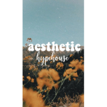 ~Roblox_Hype_House~