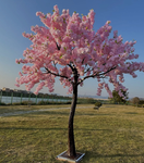 The Blossom Tree!