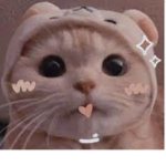 _-Mocha-_
