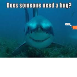 It's Shark Time