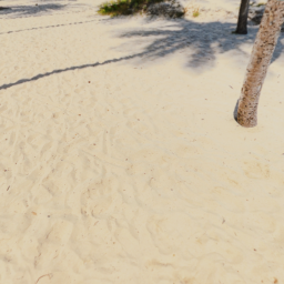 Tropic delight hotels