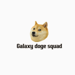 The Galaxy Doge Squad!!!