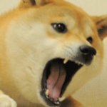 Doge_Gamer's Doge Group