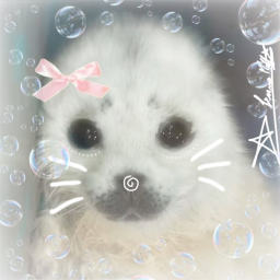 ⋆. 𐙚 ˚ ༘⋆｡˚