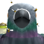 pigeon testing