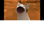 Cat meme ball