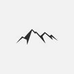 Black Mountain International