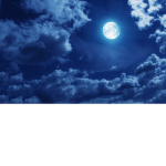 moonlight boysssssss