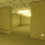 The True Backrooms: Classic