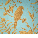 SQUAWK