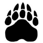 The Bear