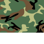 Army Fed
