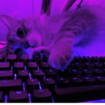 Kiannas give away