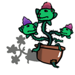 Chomnivorous