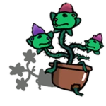Chomnivorous