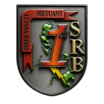 FSRR | 1st Scout Ranger Battalion