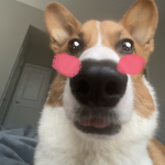 SushiSoupy Streams!! Group Thumbnail