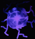 The emperōr's