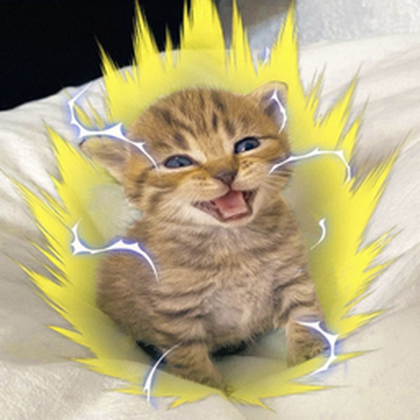 Cat Fighting Games avatar