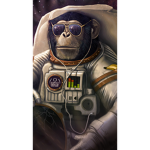 space monkey gang