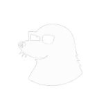 MORPH US