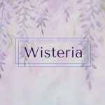 -Wisteria Family-