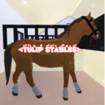 {Tulip Stables}