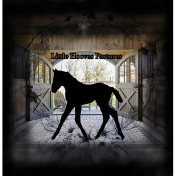 Little Hooves Pastures