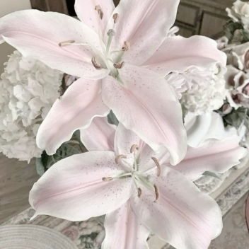 ❤︎