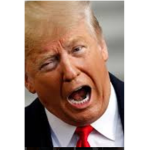 Trump hating group
