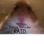 Staring hamster RAID