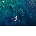 Bottom of The Ocean