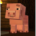 Reuben the pig