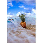 •THE PINEAPPLES•