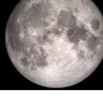 The moon foxes studio