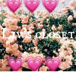 -Livvy's closet-