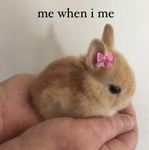 babied
