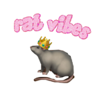 Rat vibes -3+