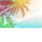 TROPICAL CHRONICLE