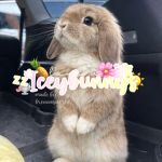 iceybunnys
