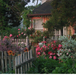 Papillon Garden