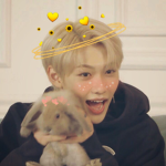 felix appreciation program