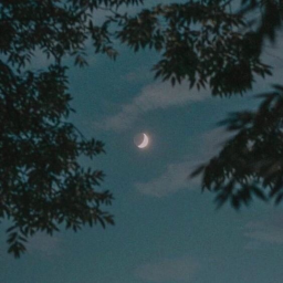 Soft Vibes House Hangout <3