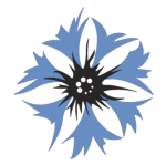 EV | Staff