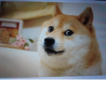 MEME WORLD YEAH