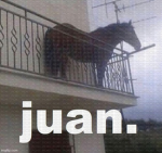 [ Juan Gang ]