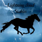 Lightning Cloud Stables
