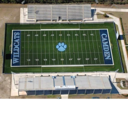 Camden County Wildcats icon